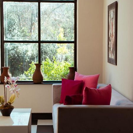 Southern Light Country House Cape Town Exterior photo