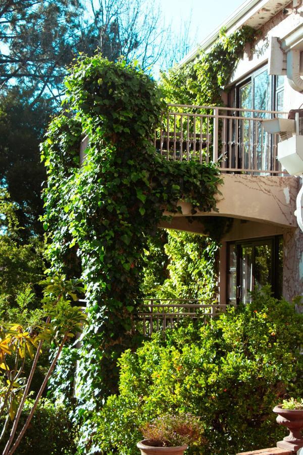 Southern Light Country House Cape Town Exterior photo