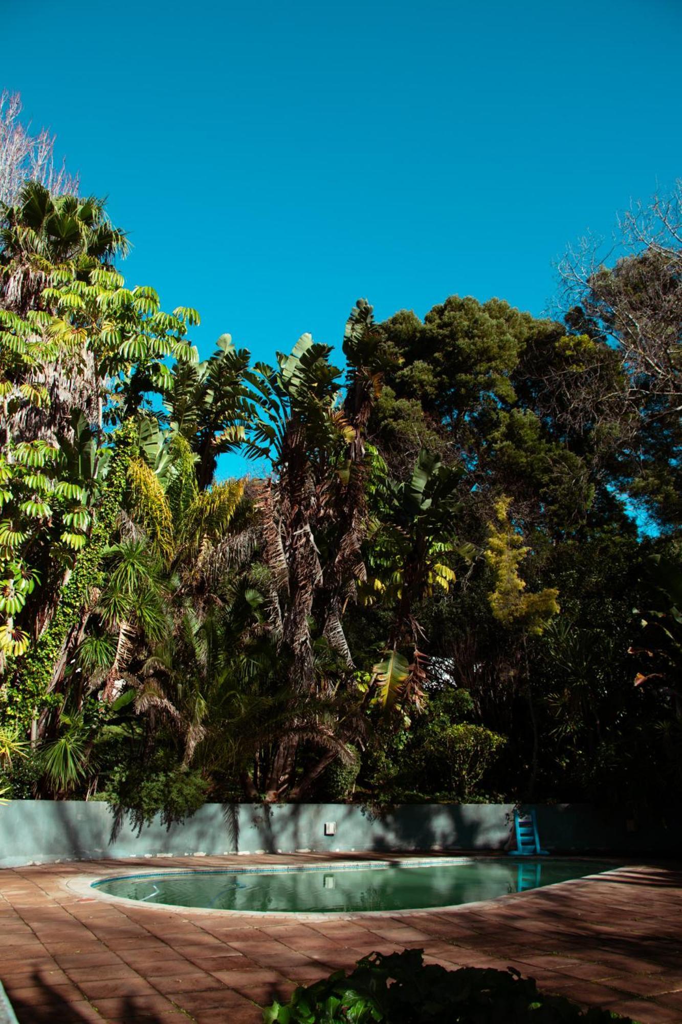 Southern Light Country House Hotel Cape Town Exterior photo