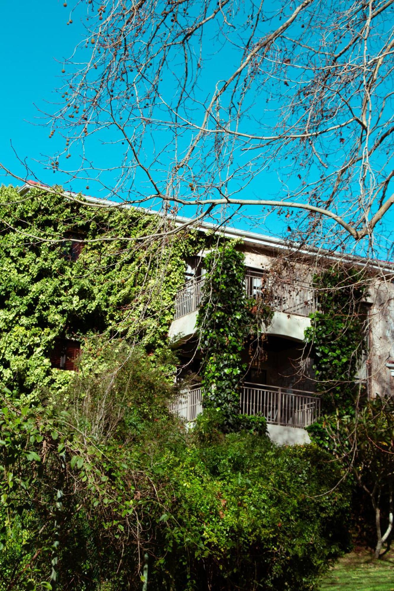 Southern Light Country House Hotel Cape Town Exterior photo